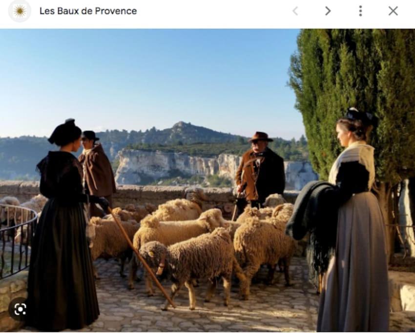 Le Balcon Du Prince Noir เลส์โบซ์-เดอ-โพรว็องซ์ ภายนอก รูปภาพ
